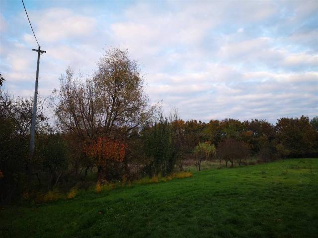 Terreno in vendita a Pieve, Sinalunga