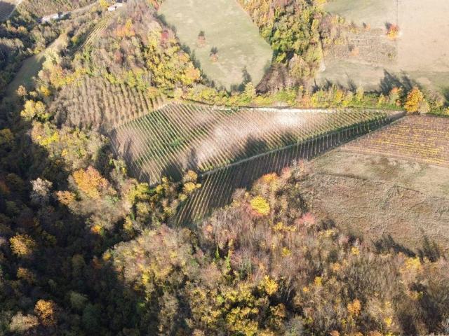 Terreno in vendita a Piemonte, Cuneo
