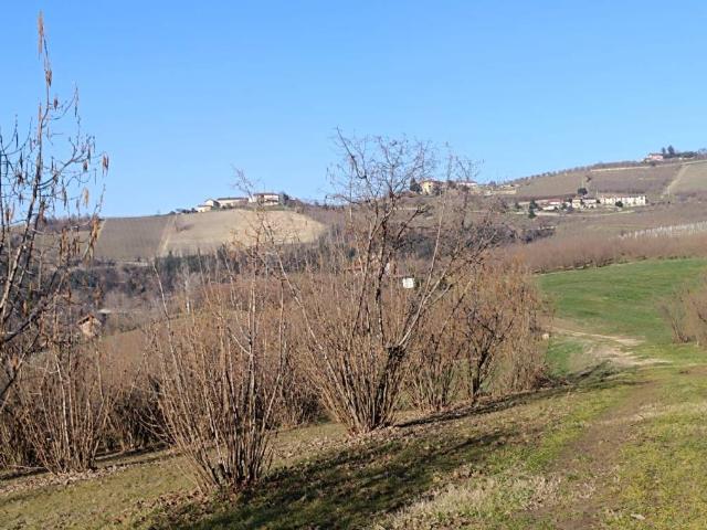 Terreno in vendita a Piemonte, Cuneo
