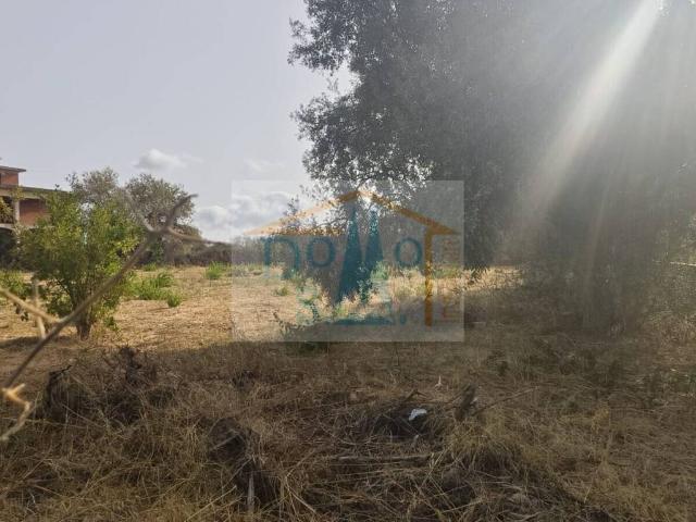Terreno in vendita a Duai, Capo Comino