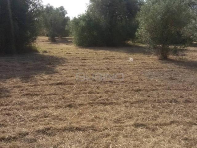 Terreno in vendita a Tivoli, Siracusa