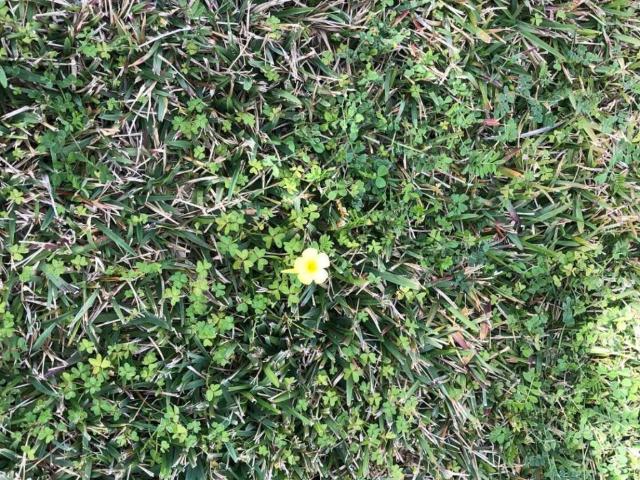Terreno in vendita a Siracusa, Sicilia