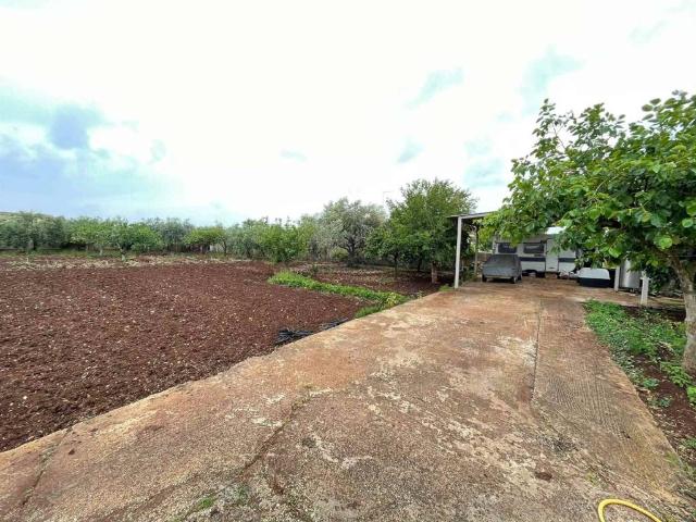 Terreno in vendita a Arenella, Siracusa