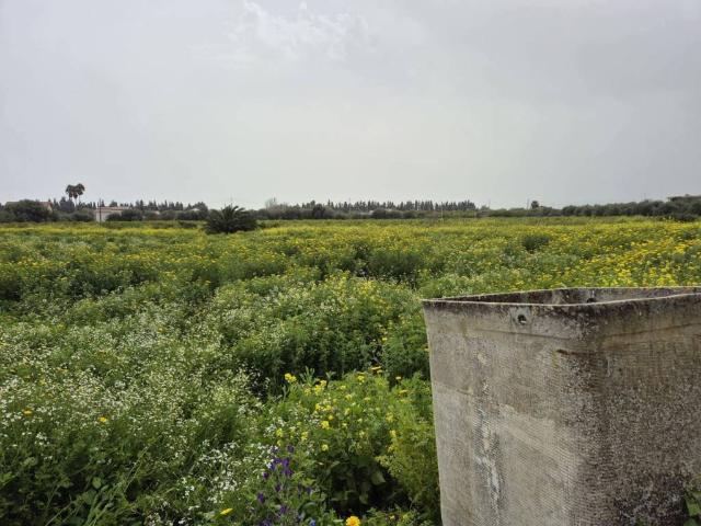 Terreno in vendita a Santa Lucia, Siracusa