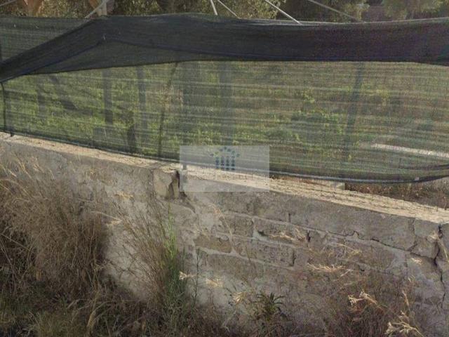 Terreno in vendita a Arenella, Siracusa