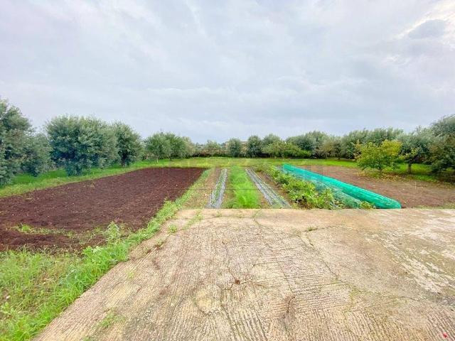 Terreno in vendita a Arenella, Siracusa