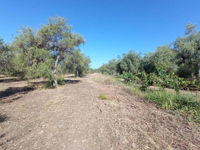 Terreno in vendita a Tivoli, Siracusa