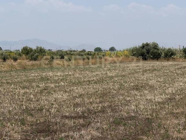 Terreno in vendita a Lentini, Sicilia