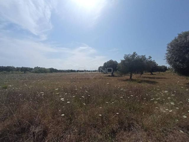 Terreno in vendita a Tivoli, Siracusa