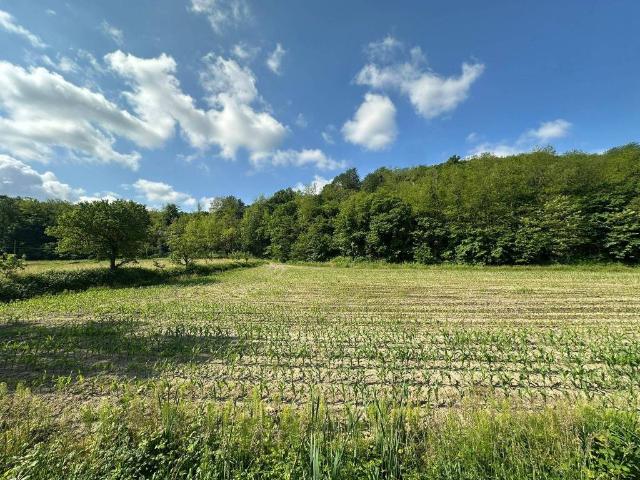 Terreno in vendita a Sirone, Lombardia