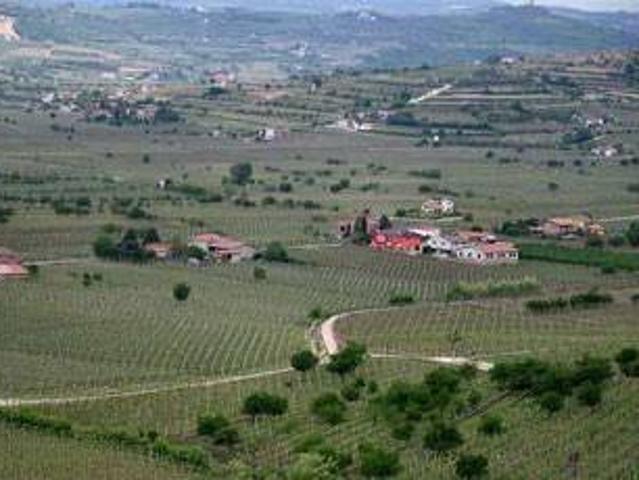 Terreno in vendita a Soave, Veneto