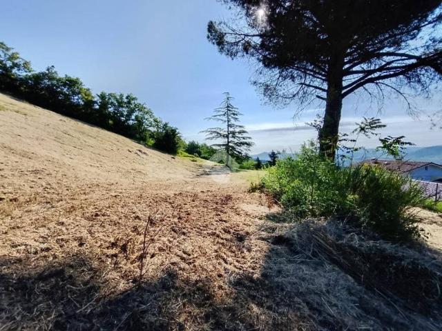 Terreno in vendita a Sogliano Al Rubicone, Reggio Emilia
