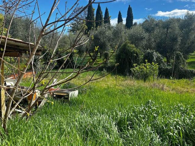 Terreno in vendita a Soiano del Lago, Brescia