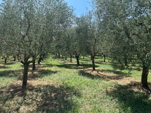 Terreno in vendita a Soiano Del Lago, Lombardia