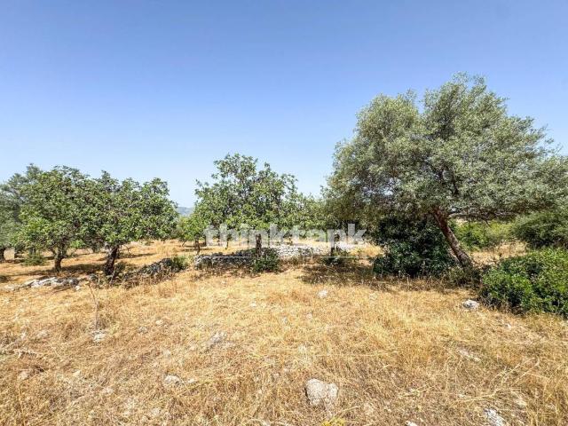 Terreno in vendita a Solarino, Sicilia