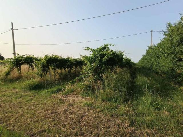 Terreno in vendita a Unione della Romagna Faentina, Solarolo