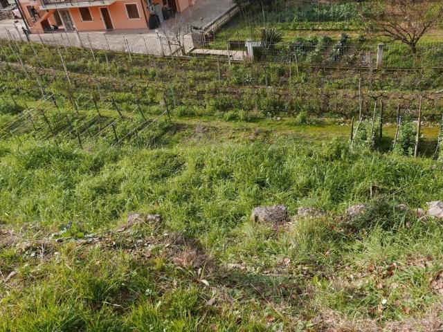 Terreno in vendita a Soldano, Liguria