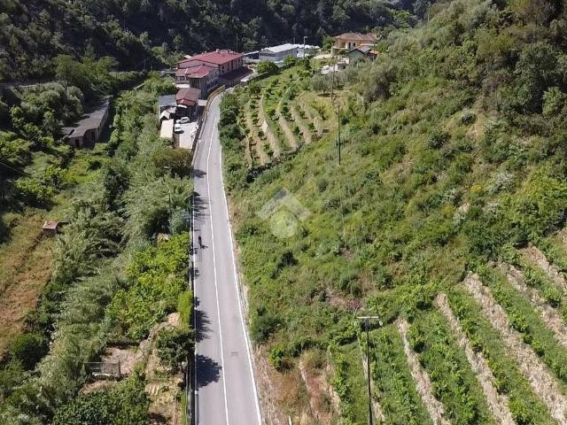 Terreno in vendita a Soldano, Liguria