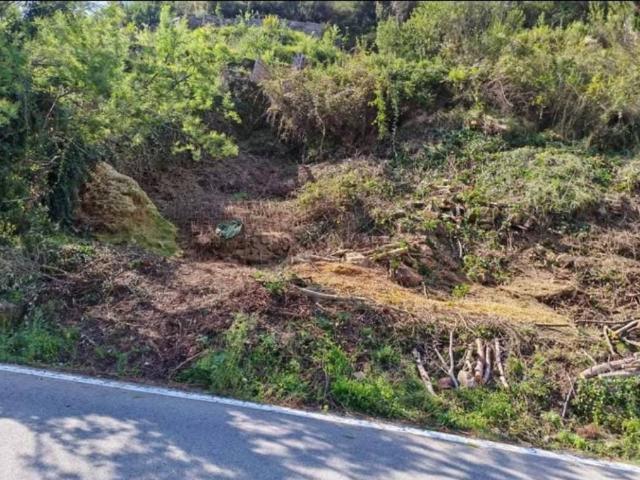 Terreno in vendita a Soldano, Liguria