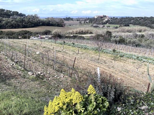 Terreno in vendita a Soleminis, Sardigna/Sardegna