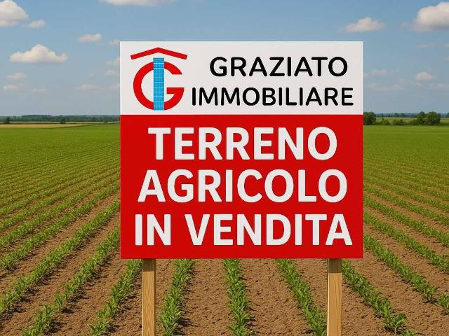Terreno in vendita a Solesino, Padova