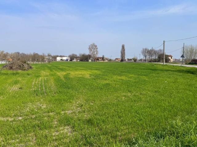 Terreno in vendita a Stanghella, Veneto
