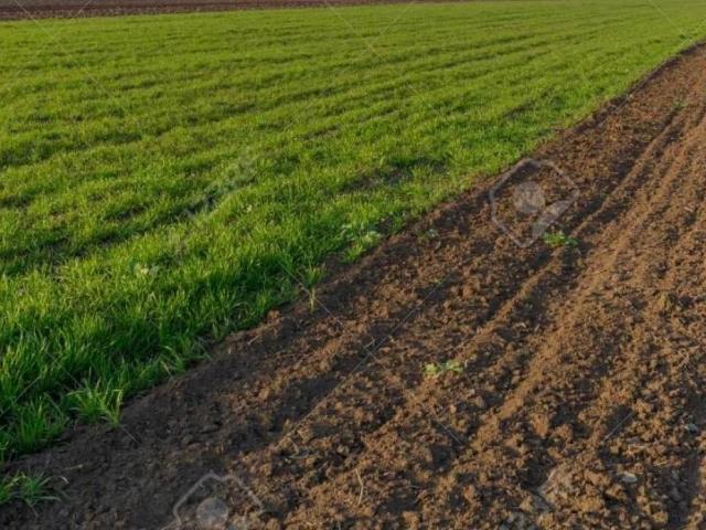 Terreno in vendita a Solesino, Veneto
