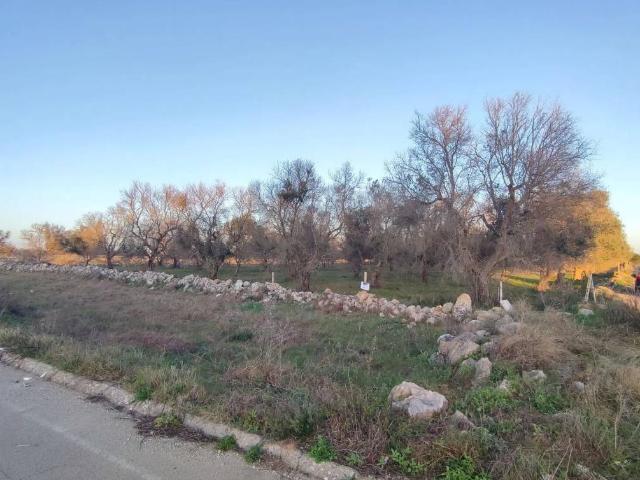 Terreno in vendita a Puglia, Lecce