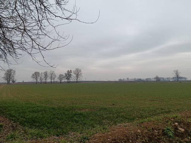 Terreno in vendita a Solferino, Lombardia