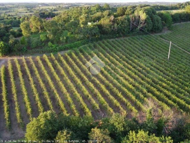 Terreno in vendita a Solferino, Lombardia
