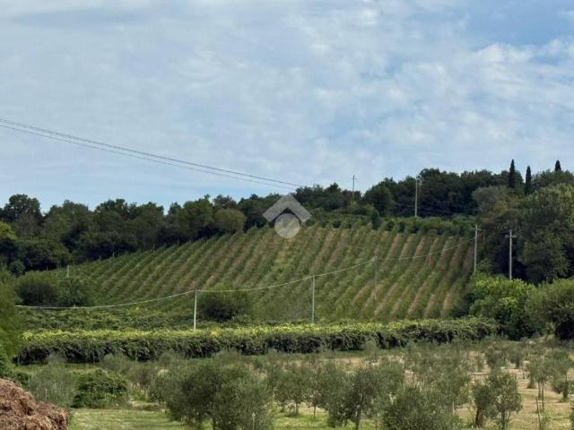 Terreno in vendita a Solferino, Lombardia