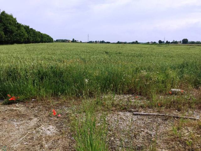 Terreno in vendita a Unione delle Terre d'Argine, Soliera