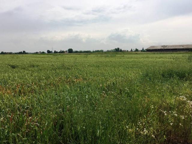 Terreno in vendita a Unione delle Terre d'Argine, Soliera