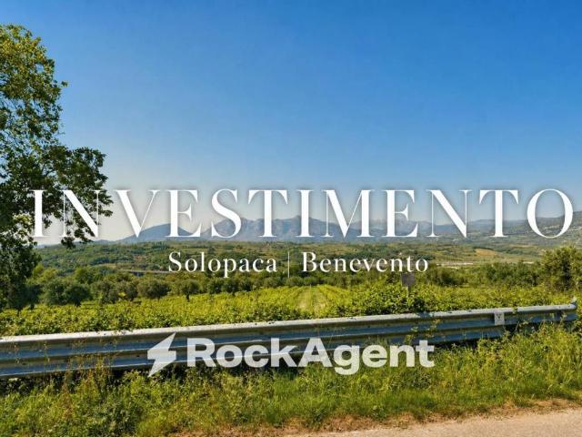 Terreno in vendita a Solopaca, Campania