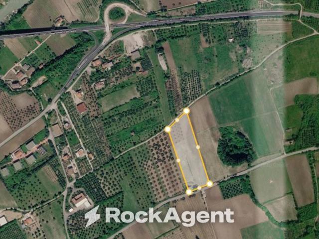 Terreno in vendita a Solopaca, Campania