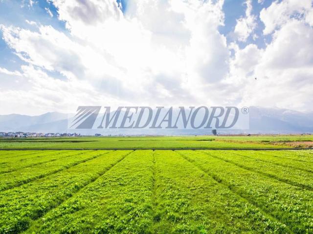 Terreno in vendita a Solza, Lombardia