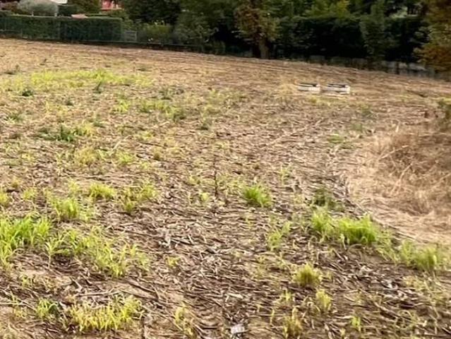 Terreno in vendita a Solza, Lombardia