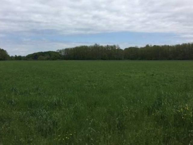 Terreno in vendita a Somma Lombardo, Lombardia