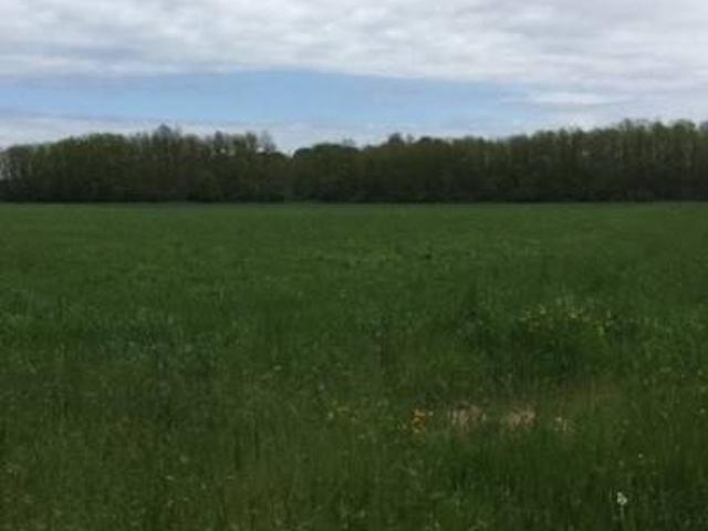 Terreno in vendita a Somma Lombardo, Lombardia