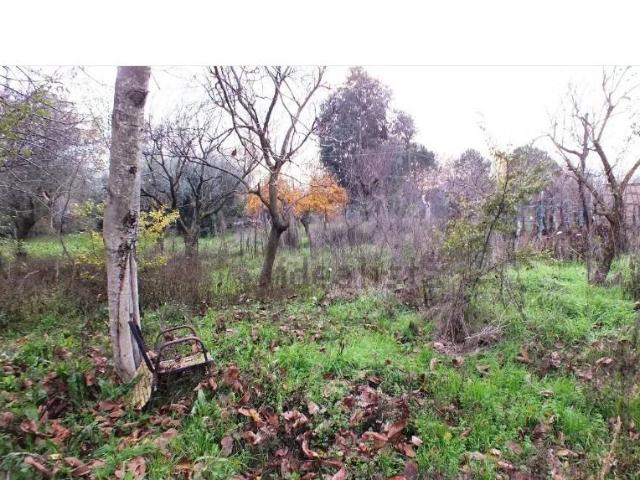 Terreno in vendita a Borgo Casamale, Somma Vesuviana
