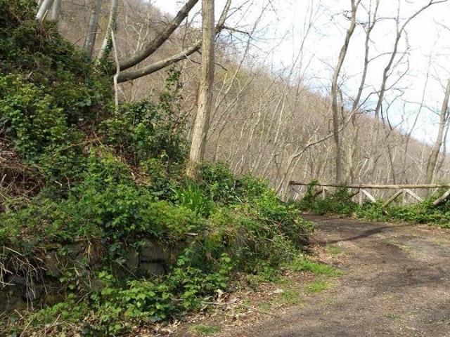 Terreno in vendita a Somma Vesuviana, Campania