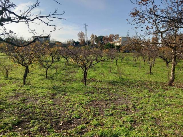Terreno in vendita a Starza della Regina, Somma Vesuviana