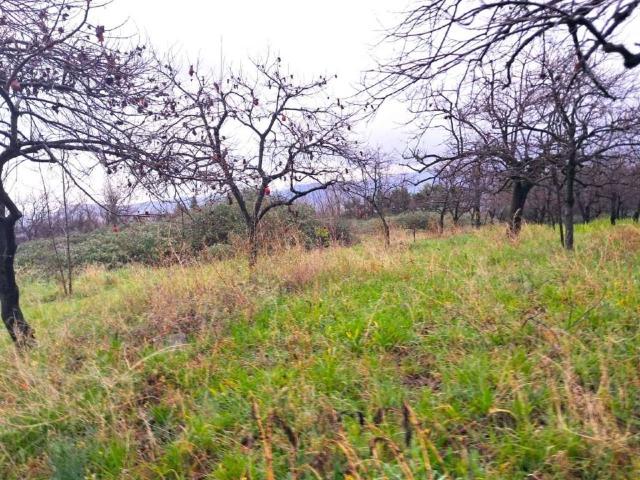 Terreno in vendita a Seggiari, Somma Vesuviana
