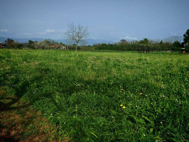 Terreno in vendita a Somma Vesuviana, Campania
