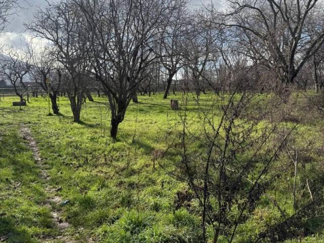 Terreno in vendita a Somma Vesuviana, Campania