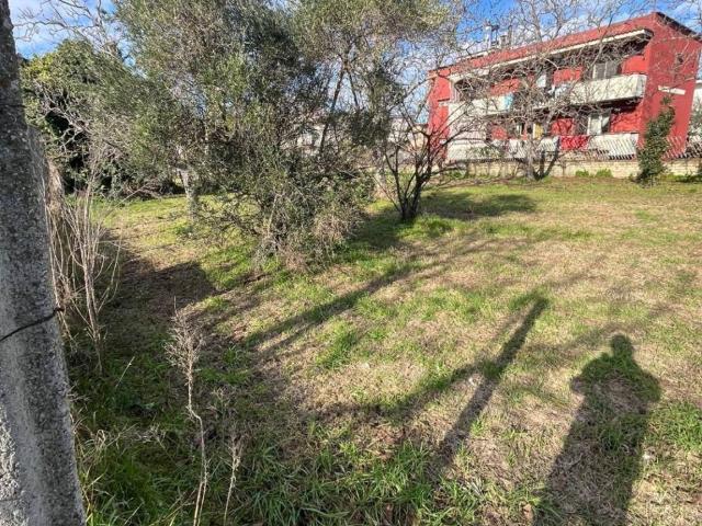 Terreno in vendita a Somma Vesuviana, Campania