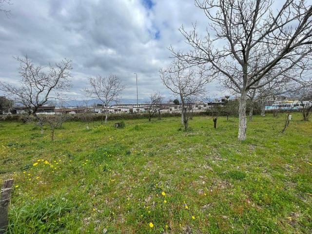 Terreno in vendita a Somma Vesuviana, Campania