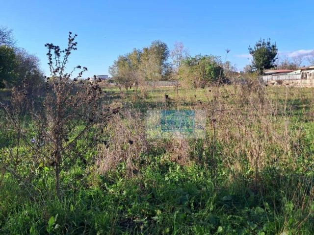 Terreno in vendita a Somma Vesuviana, Campania