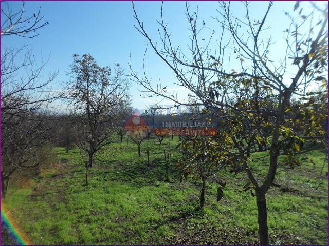 Terreno in vendita a San Sossio, Somma Vesuviana