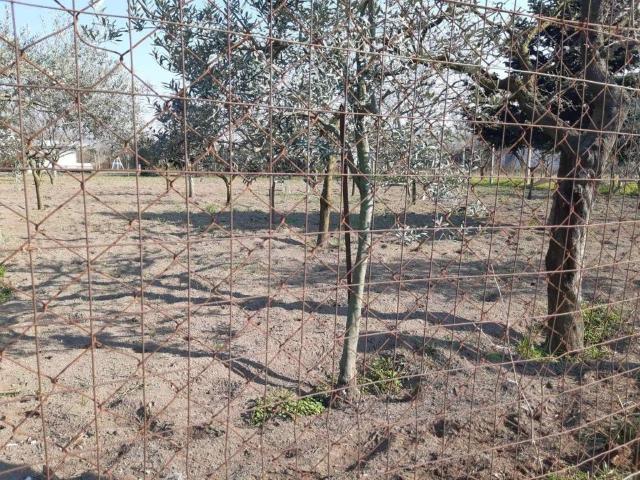 Terreno in vendita a San Sossio, Somma Vesuviana